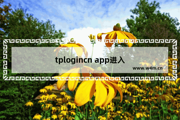 tplogincn app进入