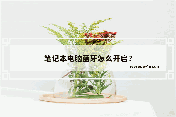 笔记本电脑蓝牙怎么开启？