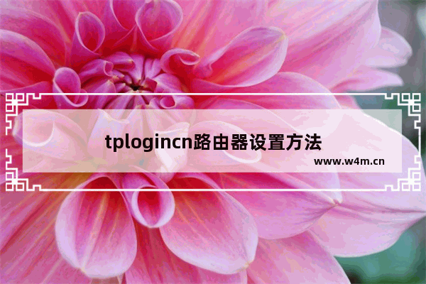 tplogincn路由器设置方法