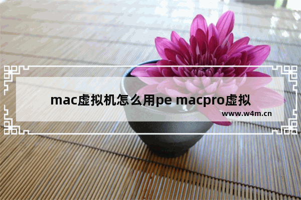 mac虚拟机怎么用pe macpro虚拟机