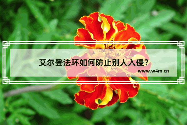 艾尔登法环如何防止别人入侵？