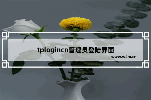 tplogincn管理员登陆界面