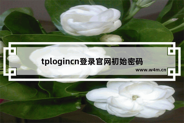 tplogincn登录官网初始密码