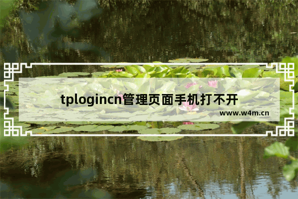 tplogincn管理页面手机打不开