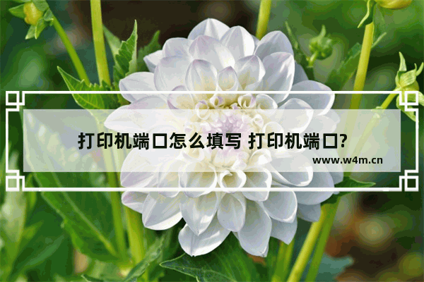 打印机端口怎么填写 打印机端口?