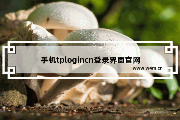 手机tplogincn登录界面官网