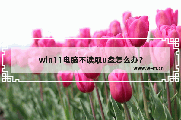 win11电脑不读取u盘怎么办？