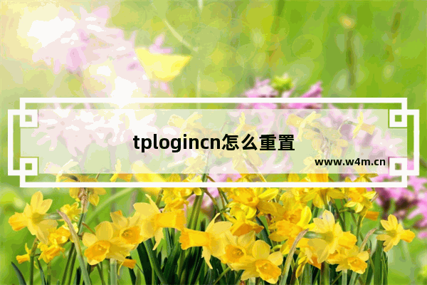 tplogincn怎么重置