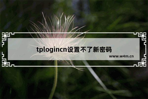 tplogincn设置不了新密码