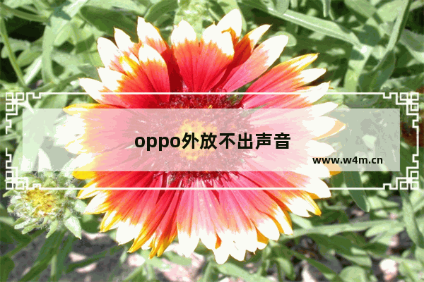 oppo外放不出声音