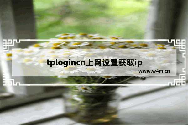 tplogincn上网设置获取ip