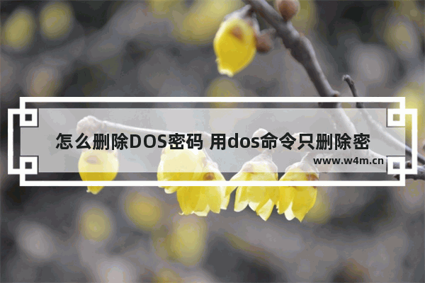 怎么删除DOS密码 用dos命令只删除密码不删除用户