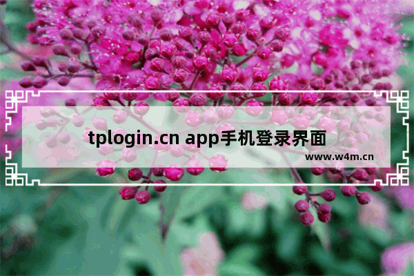 tplogin.cn app手机登录界面（手机怎么设置）1