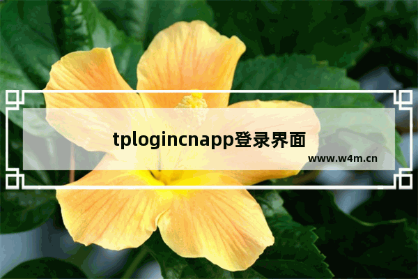 tplogincnapp登录界面