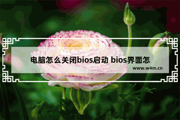 电脑怎么关闭bios启动 bios界面怎么关闭