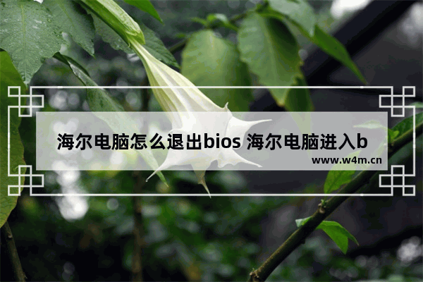 海尔电脑怎么退出bios 海尔电脑进入bios恢复