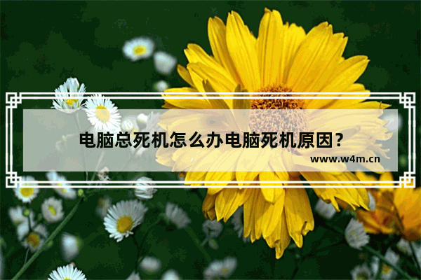 电脑总死机怎么办电脑死机原因？