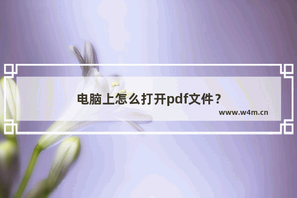 电脑上怎么打开pdf文件？