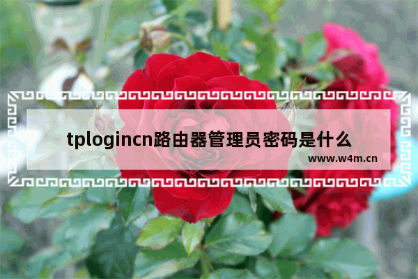 tplogincn路由器管理员密码是什么