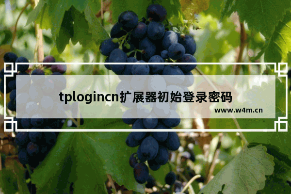 tplogincn扩展器初始登录密码