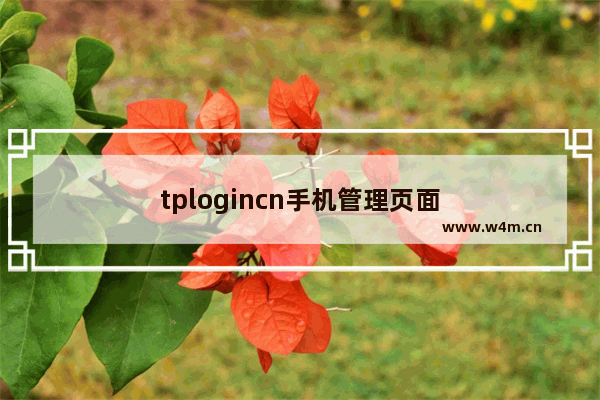 tplogincn手机管理页面