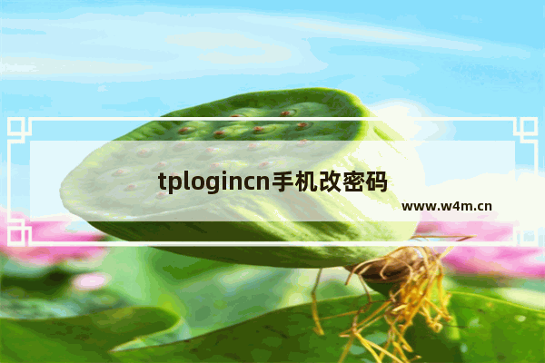 tplogincn手机改密码