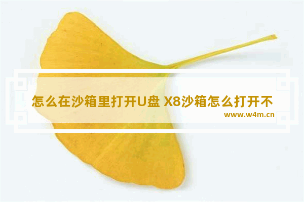 怎么在沙箱里打开U盘 X8沙箱怎么打开不了了