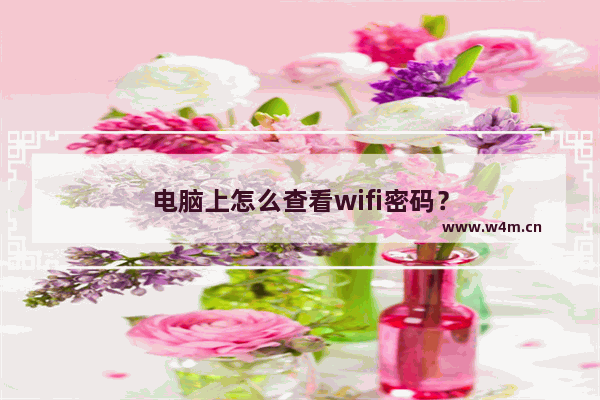 电脑上怎么查看wifi密码？