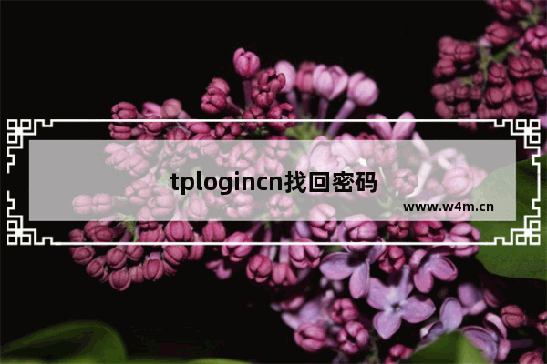 tplogincn找回密码