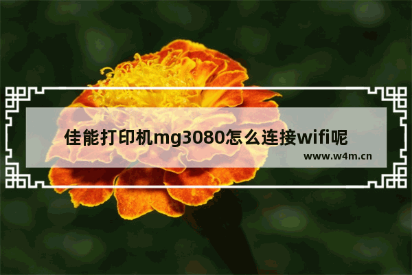 佳能打印机mg3080怎么连接wifi呢？