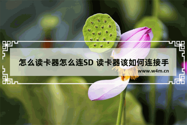 怎么读卡器怎么连SD 读卡器该如何连接手机