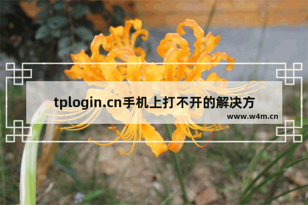 tplogin.cn手机上打不开的解决方法