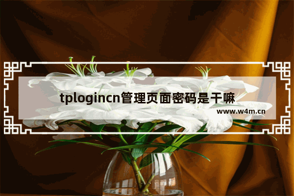 tplogincn管理页面密码是干嘛