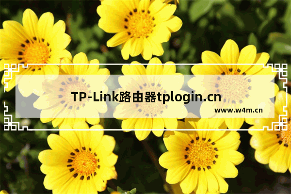 TP-Link路由器tplogin.cn打不开怎么办