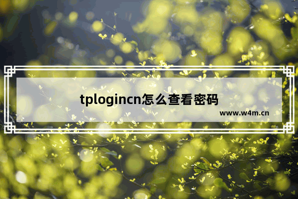 tplogincn怎么查看密码