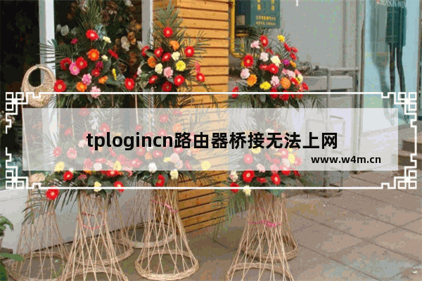 tplogincn路由器桥接无法上网