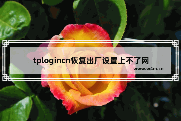 tplogincn恢复出厂设置上不了网