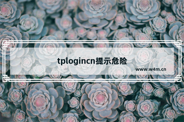 tplogincn提示危险