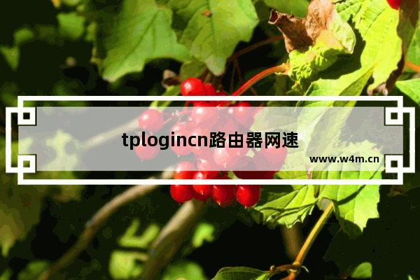 tplogincn路由器网速