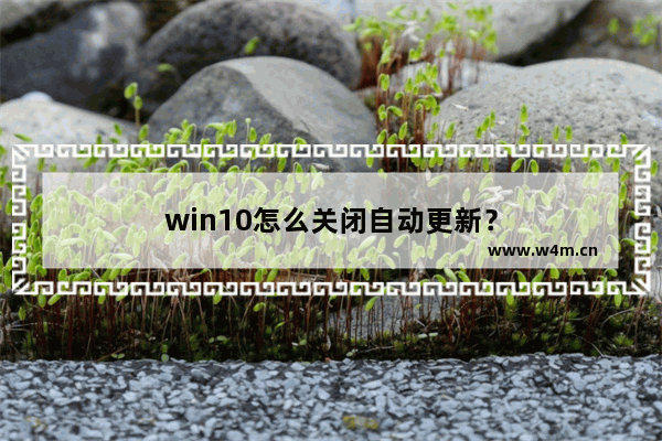 win10怎么关闭自动更新？