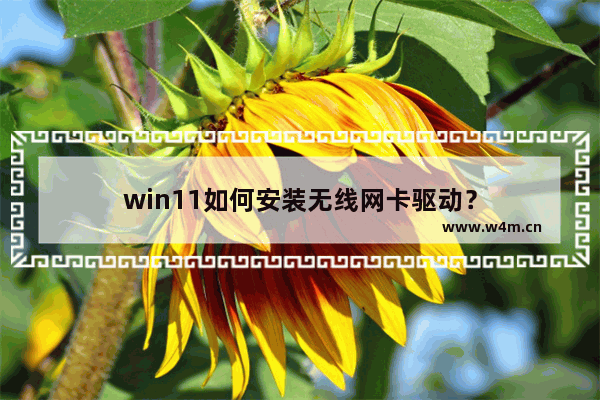 win11如何安装无线网卡驱动？