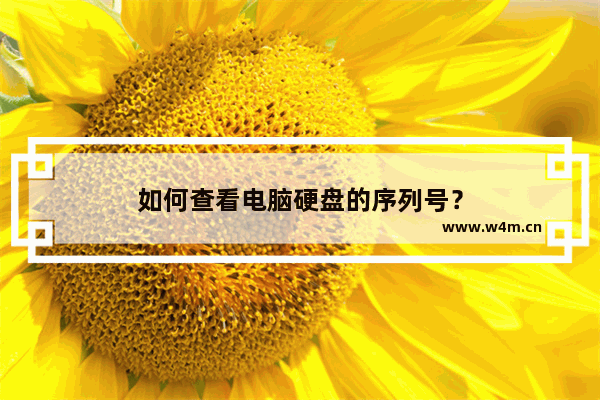 如何查看电脑硬盘的序列号？