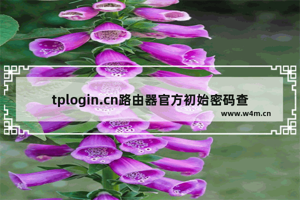 tplogin.cn路由器官方初始密码查看