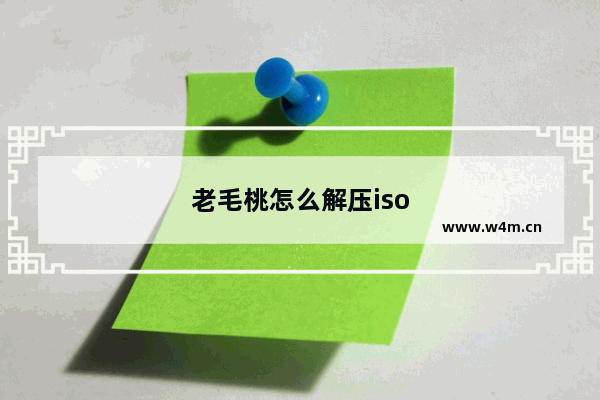 老毛桃怎么解压iso