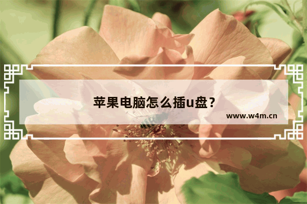 苹果电脑怎么插u盘？