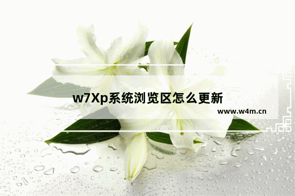 w7Xp系统浏览区怎么更新