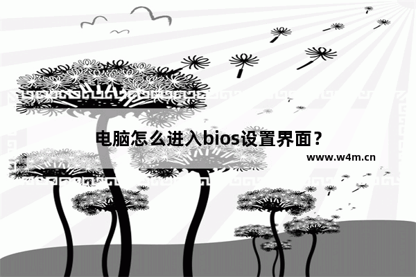 电脑怎么进入bios设置界面？