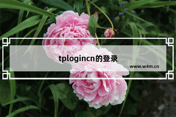 tplogincn的登录