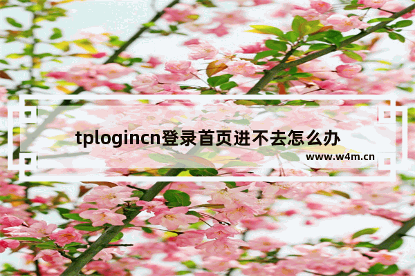 tplogincn登录首页进不去怎么办