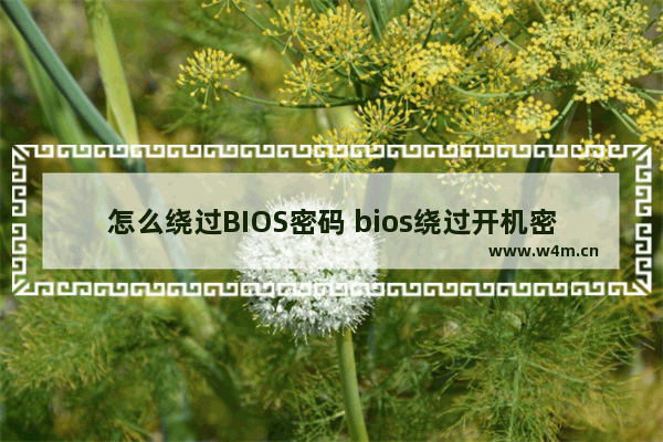 怎么绕过BIOS密码 bios绕过开机密码